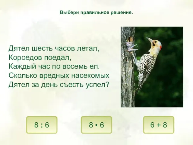 Дятел шесть часов летал, Короедов поедал, Каждый час по восемь ел. Сколько