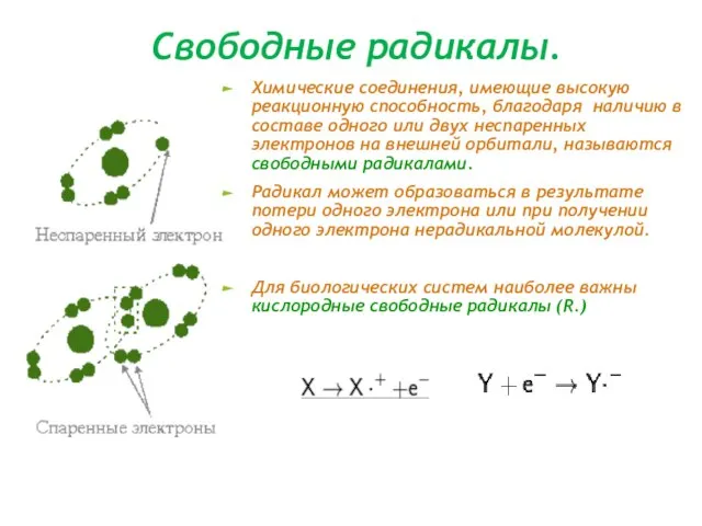 Свободные радикалы. Химические соединения, имеющие высокую реакционную способность, благодаря наличию в составе