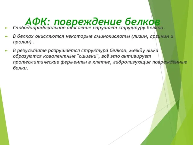 АФК: повреждение белков Свободнорадикальное окисление нарушает структуру белков. В белках окисляются некоторые