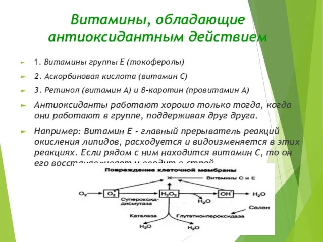 Витамины, обладающие антиоксидантным действием 1. Витамины группы Е (токоферолы) 2. Аскорбиновая кислота