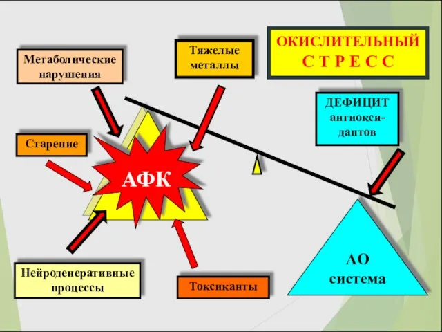 Нейроденеративные процессы Старение АФК AO система ДЕФИЦИТ антиокси-дантов Метаболические нарушения Токсиканты Тяжелые