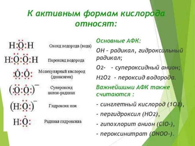 К активным формам кислорода относят: Основные АФК: ОН – радикал, гидроксильный радикал;