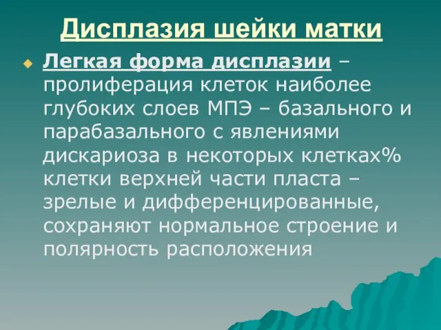 Дисплазия шейки матки Легкая форма дисплазии – пролиферация клеток наиболее глубоких слоев