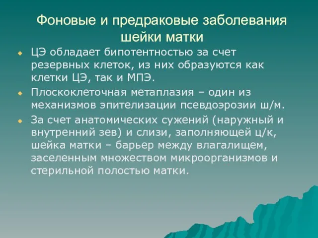 Фоновые и предраковые заболевания шейки матки ЦЭ обладает бипотентностью за счет резервных