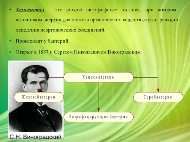 Хемосинтез – это способ автотрофного питания, при котором источником энергии для синтеза