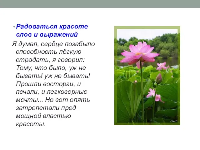 Радоваться красоте слов и выражений Я думал, сердце позабыло способность лёгкую страдать,