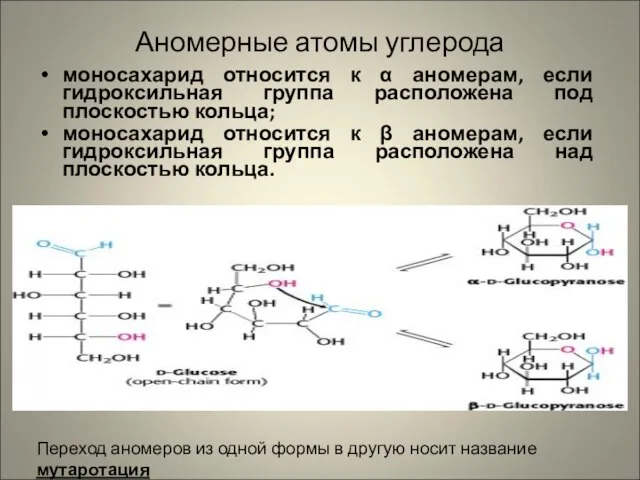 Аномерные атомы углерода моносахарид относится к α аномерам, если гидроксильная группа расположена