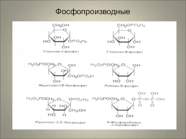 Фосфопроизводные