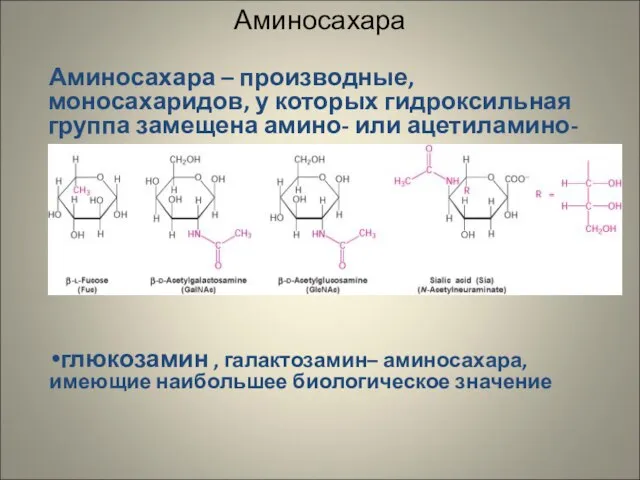 Аминосахара Аминосахара – производные, моносахаридов, у которых гидроксильная группа замещена амино- или