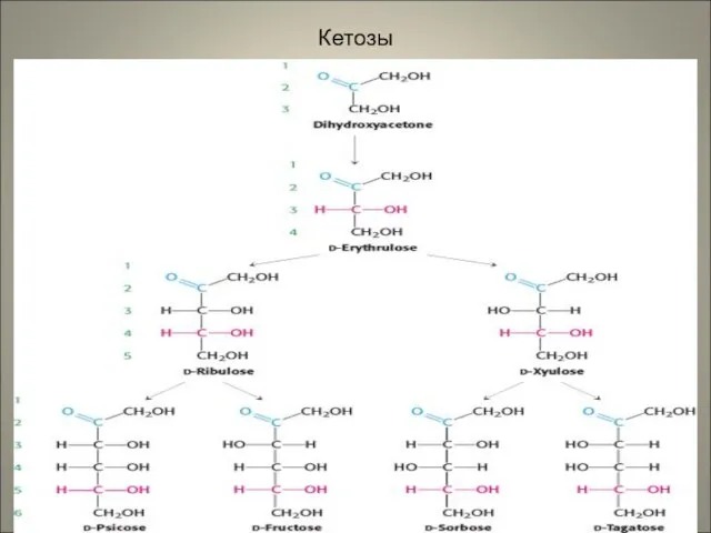 Кетозы