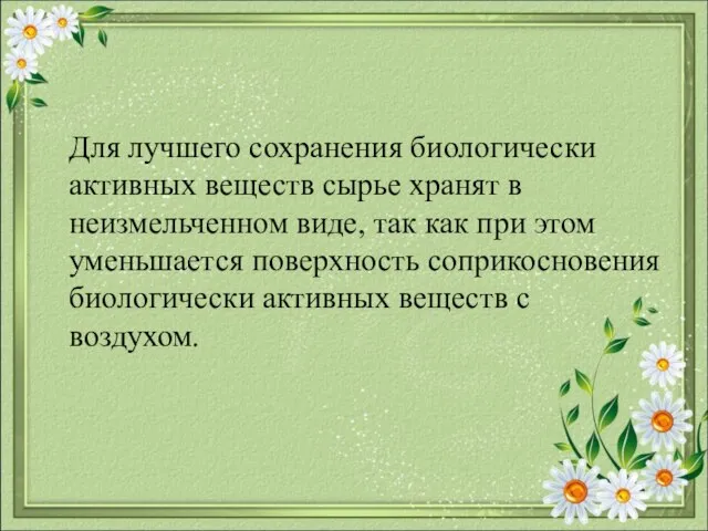 Для лучшего сохранения биологически активных веществ сырье хранят в неизмельченном виде, так