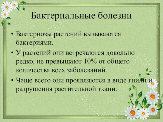 Бактериальные болезни Бактериозы растений вызываются бактериями. У растений они встречаются довольно редко,