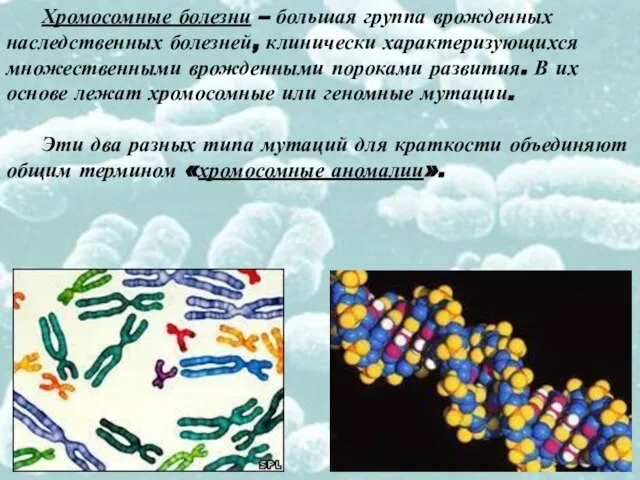 Хромосомные болезни – большая группа врожденных наследственных болезней, клинически характеризующихся множественными врожденными