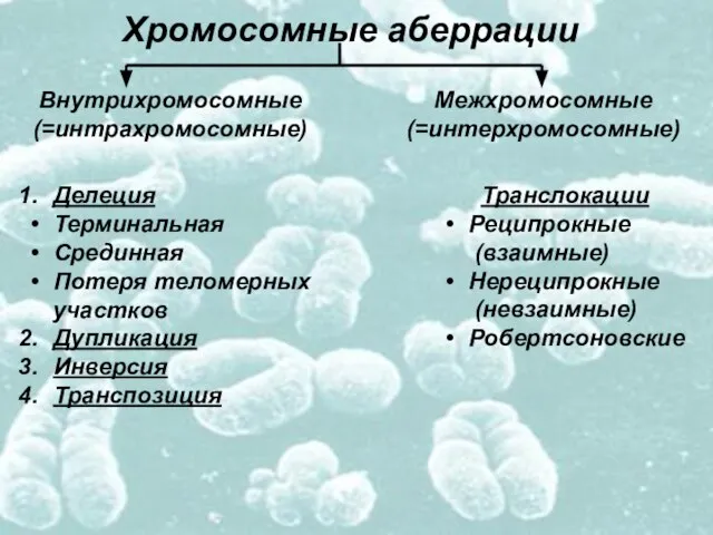 Хромосомные аберрации Внутрихромосомные (=интрахромосомные) Межхромосомные (=интерхромосомные) Делеция Терминальная Срединная Потеря теломерных участков