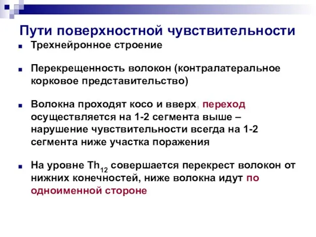 Пути поверхностной чувствительности Трехнейронное строение Перекрещенность волокон (контралатеральное корковое представительство) Волокна проходят