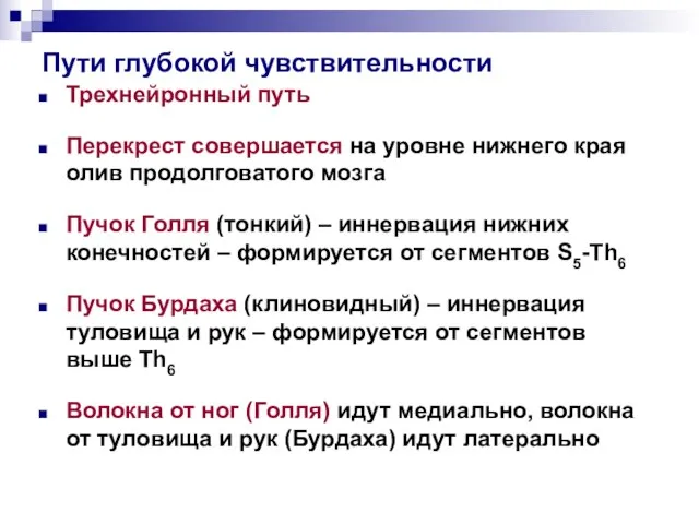 Пути глубокой чувствительности Трехнейронный путь Перекрест совершается на уровне нижнего края олив