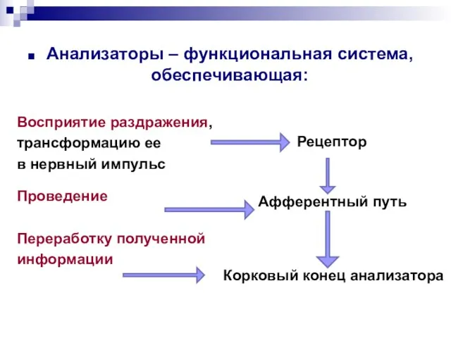 Анализаторы – функциональная система, обеспечивающая: Восприятие раздражения, трансформацию ее в нервный импульс