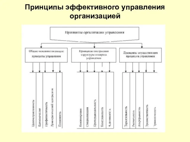 Принципы эффективного управления организацией