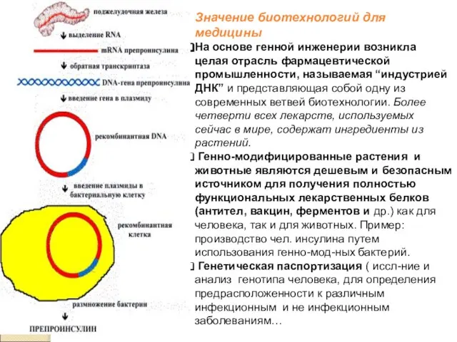 Значение биотехнологий для медицины На основе генной инженерии возникла целая отрасль фармацевтической