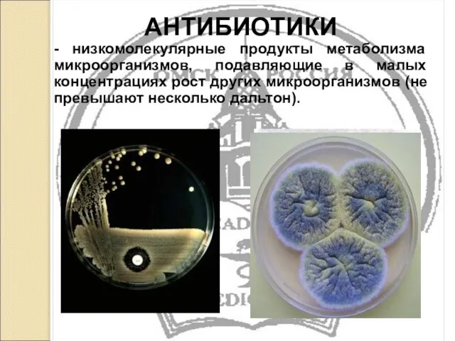 АНТИБИОТИКИ - низкомолекулярные продукты метаболизма микроорганизмов, подавляющие в малых концентрациях рост других