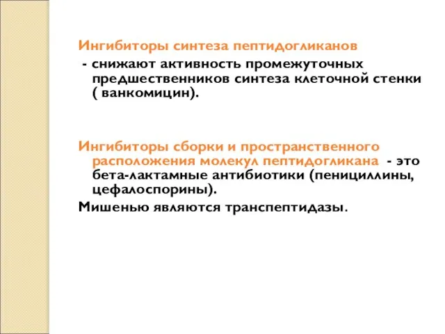 Ингибиторы синтеза пептидогликанов - снижают активность промежуточных предшественников синтеза клеточной стенки (