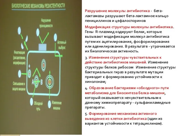 Разрушение молекулы антибиотика - бета-лактамазы разрушают бета-лактамное кольцо пенициллинов и цефалоспоринов Модификация