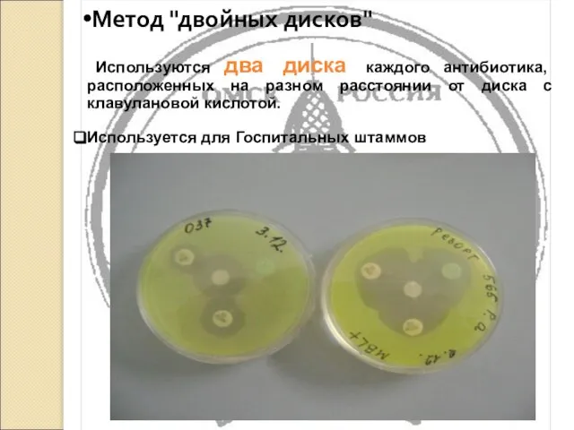 Метод "двойных дисков" Используются два диска каждого антибиотика, расположенных на разном расстоянии