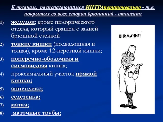 К органам, располагающимся ИНТРАперитонеально - т.е. покрытых со всех сторон брюшиной -