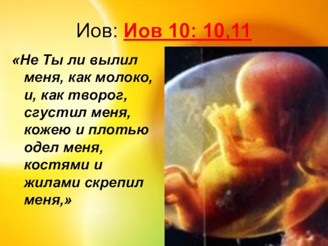 Иов: Иов 10: 10,11 «Не Ты ли вылил меня, как молоко, и,