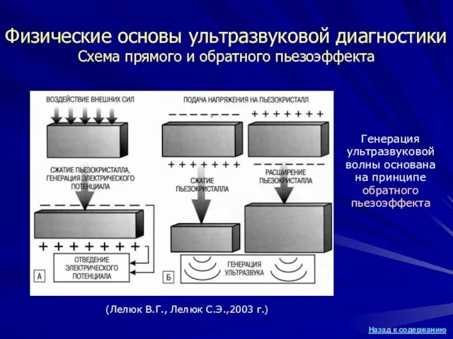 (Лелюк В.Г., Лелюк С.Э.,2003 г.) Физические основы ультразвуковой диагностики Схема прямого и