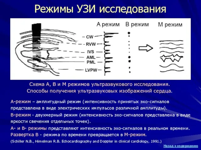 Схема А, В и М режимов ультразвукового исследования. Способы получения ультразвуковых изображений