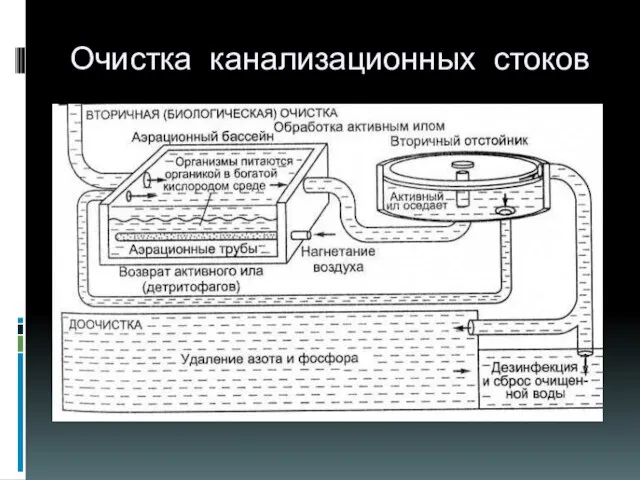 Очистка канализационных стоков