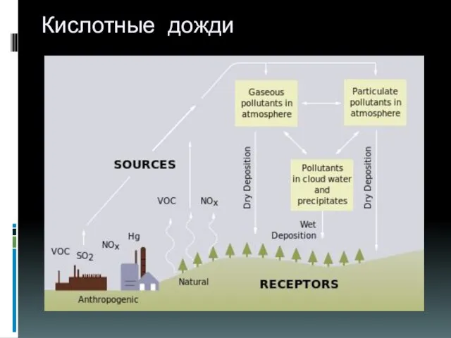 Кислотные дожди