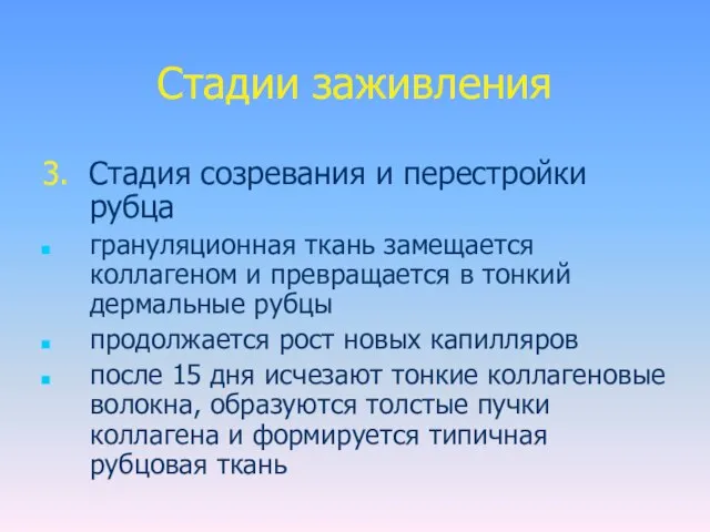 Стадии заживления 3. Стадия созревания и перестройки рубца грануляционная ткань замещается коллагеном