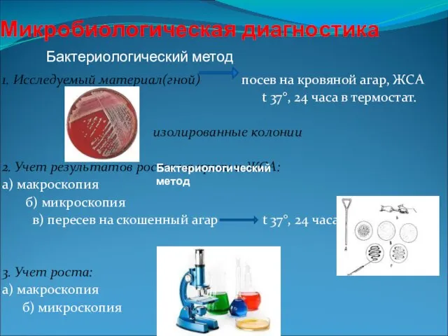 Микробиологическая диагностика 1. Исследуемый материал(гной) посев на кровяной агар, ЖСА t 37°,