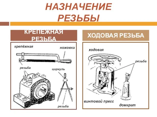 НАЗНАЧЕНИЕ РЕЗЬБЫ КРЕПЁЖНАЯ РЕЗЬБА ХОДОВАЯ РЕЗЬБА