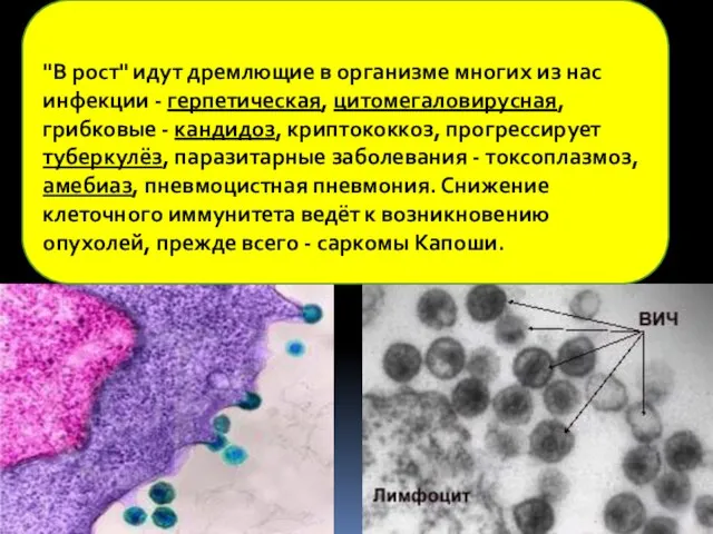 "В рост" идут дремлющие в организме многих из нас инфекции - герпетическая,