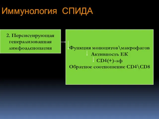 Иммунология СПИДА 2. Персистирующая генерализованная лимфоаденопатия Функция моноцитов\макрофагов Активность ЕК CD4(+)-лф Обратное соотношение CD4\CD8