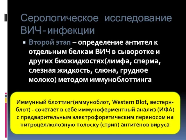 Серологическое исследование ВИЧ-инфекции Второй этап – определение антител к отдельным белкам ВИЧ