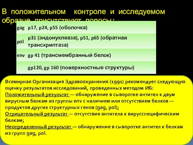 В положительном контроле и исследуемом образце присутствуют полосы: Всемирная Организация Здравоохранения (1991)