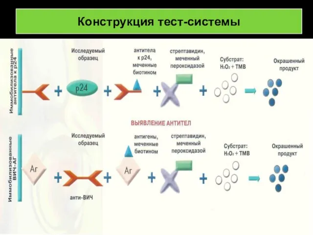 Конструкция тест-системы