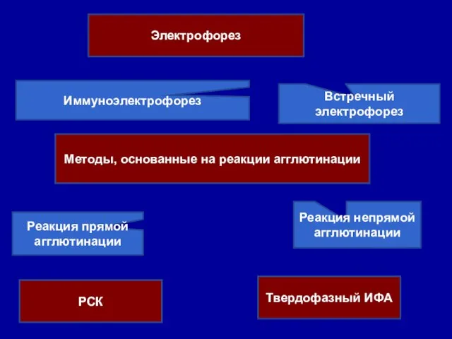 Электрофорез Иммуноэлектрофорез Встречный электрофорез Методы, основанные на реакции агглютинации Реакция прямой агглютинации