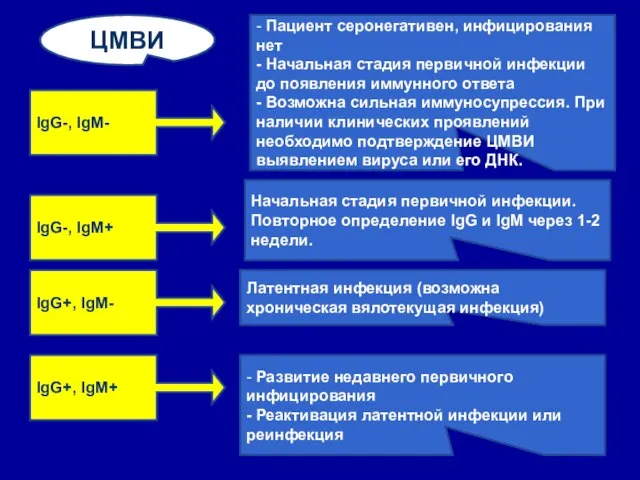 IgG-, IgM- - Пациент серонегативен, инфицирования нет - Начальная стадия первичной инфекции