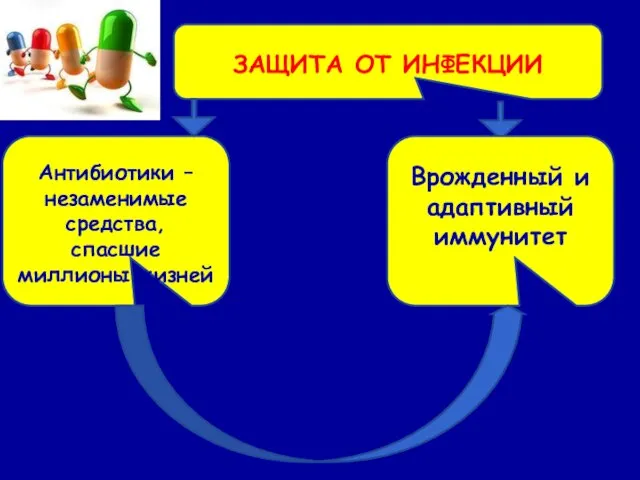 Антибиотики – незаменимые средства, спасшие миллионы жизней ЗАЩИТА ОТ ИНФЕКЦИИ Врожденный и адаптивный иммунитет