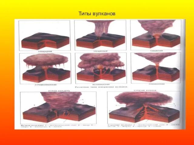 Вулканы по степени активности. Вулканизм типы вулканов. Типы вулканов схема. Типы вулканизма. Типы вулканов по строению.