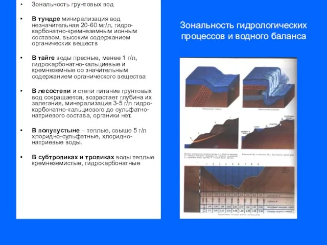 Зональность гидрологических процессов и водного баланса Зональность грунтовых вод В тундре минирализация