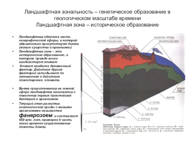 Ландшафтная зональность – генетическое образование в геологическом масштабе времени Ландшафтная зона –