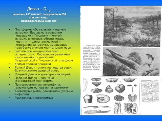 Девон – D1-3 началась 410 млн.лет, завершилась 350 млн. лет назад, продолжалась