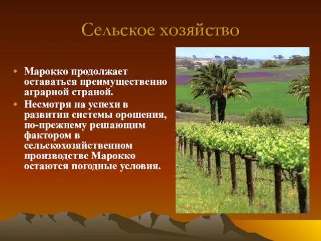 Сельское хозяйство Марокко продолжает оставаться преимущественно аграрной страной. Несмотря на успехи в