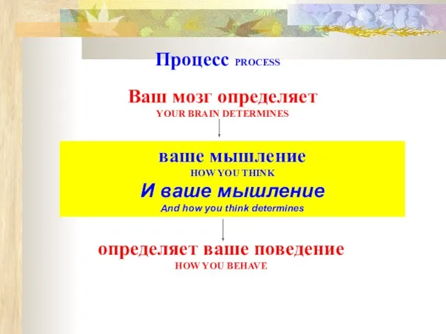 Ваш мозг определяет YOUR BRAIN DETERMINES ваше мышление HOW YOU THINK И